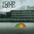 Flaud Logic - Fraud Logic