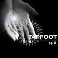 Taproot - Gift